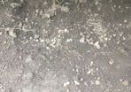 top soil