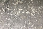 top soil