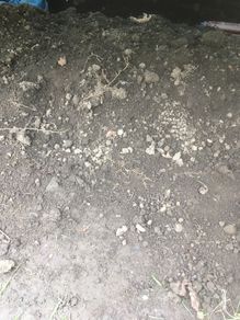 top soil