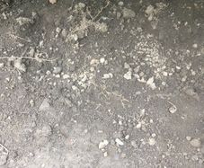 top soil