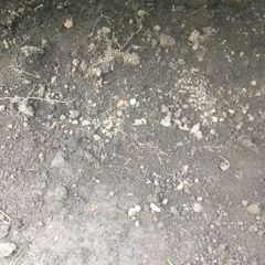 top soil