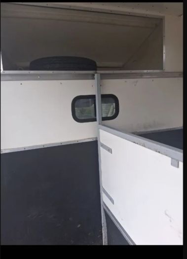 3.5t vauxall movano Horse lorry