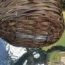 Plant basket with ribbon Image 4