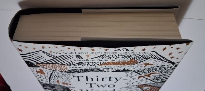 Manchan Magan / Thirty- Two Words for Field /2020