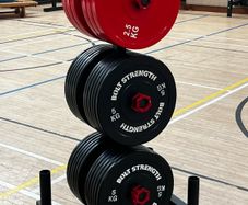 Weight Plate and Olympic Bar Holder