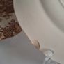 Olde Staffordshire Salem China Plates Image 5