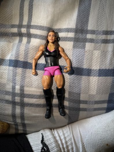 wwe figure