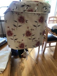 curtains and pole