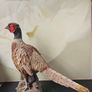 Standing Pheasant Sculpture Image 3