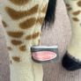 Giant Giraffe Soft Toy Image 3