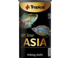 Tropical Soft Line Asia Size S 250ML/125G