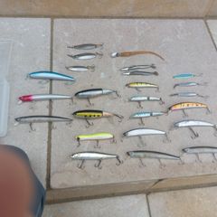 Selection of brand name lures