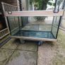 fish tank Image 4