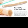 Miswak natural toothbrush Image 2