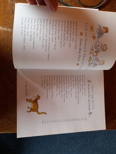 Large hardback book - Treasury of Nursery Rhymes and Poems