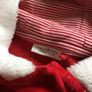 Next Santa dress and tights two piece set Image 4