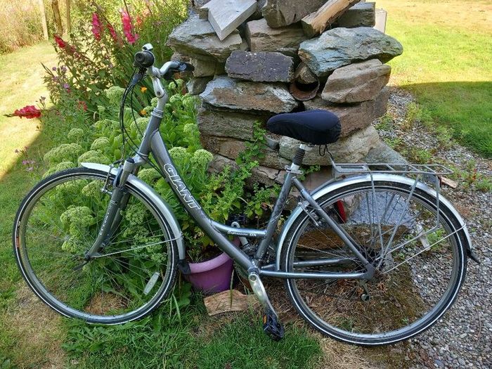 Bike Adult