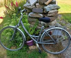 Bike Adult
