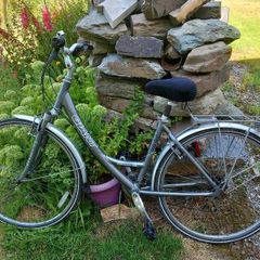 Bike Adult