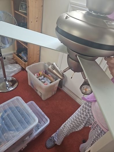 Ceiling Fan