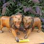 A Magnificent Pair Of Nineteenth Century Hardwood Lions(3.3kgs) Image 2