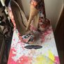 Sexy High Platform Shoes Image 5