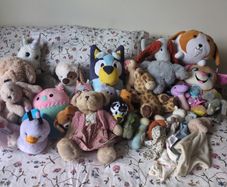 Teddies