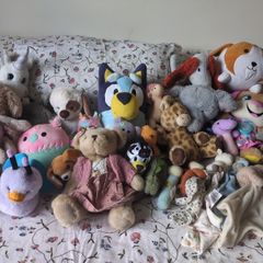 Teddies