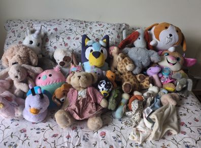 Teddies