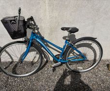 4 Bikes - Raleigh, Carrera, Reebok & Apollo