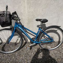 4 Bikes - Raleigh, Carrera, Reebok & Apollo