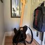 Squier telecaster troublemaker Image 4