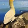 Oil painting picture of the gannet scene Image 2