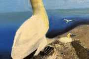 Oil painting picture of the gannet scene