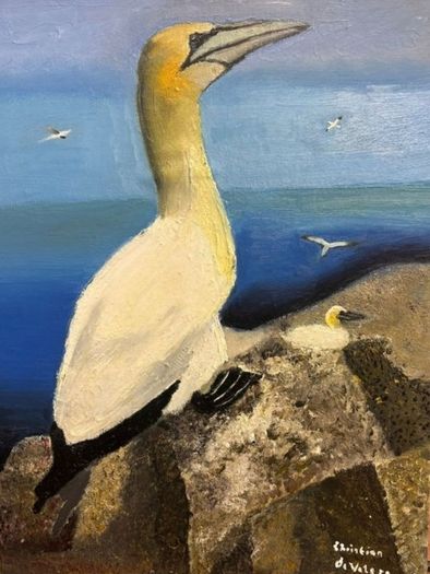 Oil painting picture of the gannet scene
