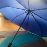 Brand new ByteDance umbrella Image 2