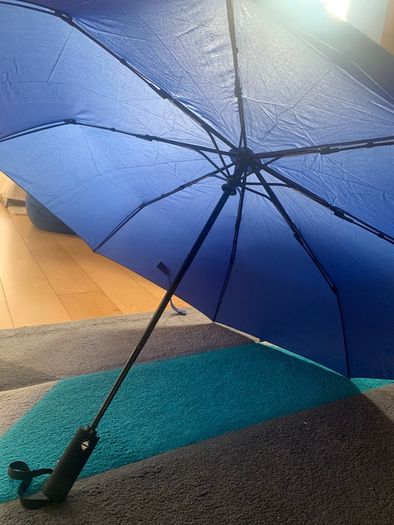 Brand new ByteDance umbrella