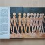 Egyptian Mythology (Illustrated Ancient History Hardback 2004) Image 5