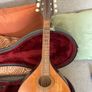 Sherwood Mandolin Image 2