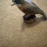 Bird figurine Image 2