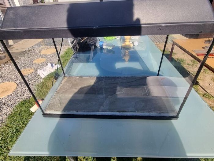 Small Aquarium / Terrarium With Light Lid