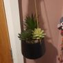 faux hanging plant Image 2