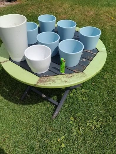 collection of flowerpots