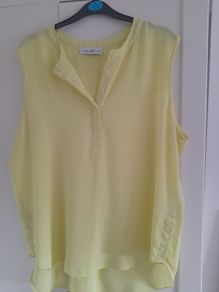 ladies lemon top