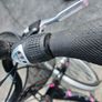 bike Image 3