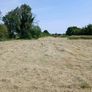 Small square bales of hay Image 2