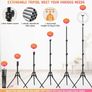 10 inch Ring Light with Tripod Stand & Phone Holder, Selfie Ringlight with Remote for Phone, 70" Tall Circle Light, LED Ring Lamp Image 5