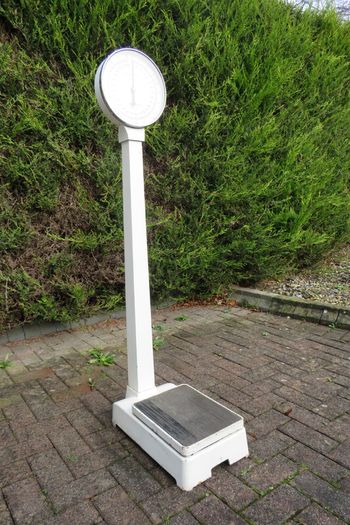 1967 vintage H. Fereday & Sons Ltd. column / lollipop scale