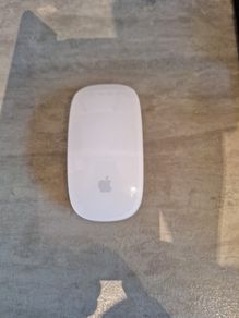 apple magic mouse (aa battery version)
