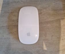 apple magic mouse (aa battery version)
